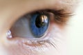 Close-up image of blue human eye with eyelashes
