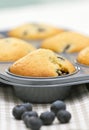 Blueberry Muffins