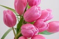 Close-up image of a Bouquet of Pink Tulips with Raindrops Royalty Free Stock Photo