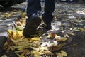 Close up image of boy`s feet making steps on bright yellow leaves on sunny autumn day Royalty Free Stock Photo