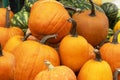 Close up image of bright orange pumpkins lay in heap. Autumn harvest concept Royalty Free Stock Photo