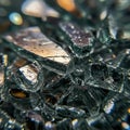 Close-up image of broken glass fragments, displaying sharp-edged, translucent Royalty Free Stock Photo