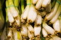 Close up image of bunch onions IN SUPERMARKET Royalty Free Stock Photo