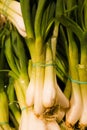 Close up image of bunch onions IN SUPERMARKET Royalty Free Stock Photo