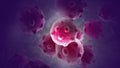 image of bunch purple cancer cells