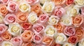 Close up image of bunch of roses