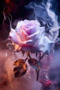 pink fantasy rose petals closeup. smoke, ashes, fire, flames, embers, powder, explosion, mist, fog, fantasy, surreal, abstract.