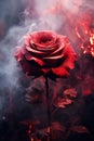 red rose beauty close up. smoke, ashes, fire, flames, embers, powder, explosion, mist, fog, fantasy, surreal, abstract.