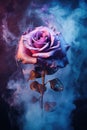 burning pink rose. smoke, ashes, fire, flames, embers, powder, explosion, mist, fog, fantasy, surreal, abstract.