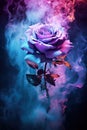 pink, and cyan rose. smoke, ashes, fire, flames, embers, powder, explosion, mist, fog, fantasy, surreal, abstract. Royalty Free Stock Photo