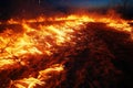 A close-up image captures the vibrant intensity of a fire field, revealing the intricate dance of flames and the warmth Royalty Free Stock Photo