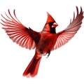 A close-up image of a cardinal in winter. Ai-generated.