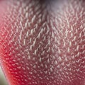 Close-up image of a cat\'s tongue displaying numerous papillae, which are small, cone Royalty Free Stock Photo