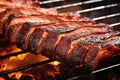 close-up image of charred edges on a rack of pork ribs Royalty Free Stock Photo