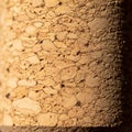 Natural cork, derived from the bark of the cork oak tree (Quercus Royalty Free Stock Photo