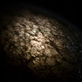 Close-up image of a cracked, textured surface with an intricate, web-like pattern. The Royalty Free Stock Photo