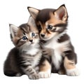 A close-up image of a cute little kitten and a puppy. Ai-Generated.
