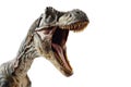 Close-up image of a dinosaur with its mouth open, suitable for science, education and prehistoric theme projects Royalty Free Stock Photo