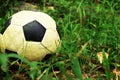 Close up image of dirty football or soccer ball on grass and leaf ground
