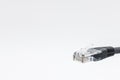 Close-up image of an Ethernet networking patch cable end. Royalty Free Stock Photo