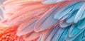 Close-Up Image of Flamingo Feather, Light Azure and Pink Style