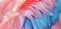 Close-Up Image of Flamingo Feather, Light Azure and Pink Style