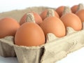 Close up image of fresh chicken eggs in opened box Royalty Free Stock Photo
