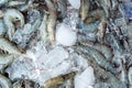 Close up image of Fresh shrimp Royalty Free Stock Photo