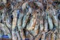 Close-up image of fresh shrimp, shops, seafood businesses  In the Asian food market Royalty Free Stock Photo