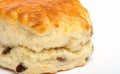 Close up image of a fruit scone