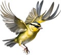 Close-up image of a Goldcrest bird. AI-generated.