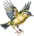 Close-up image of a Goldcrest bird. AI-generated.