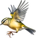 Close-up image of a Goldcrest bird. AI-generated.