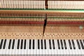 Close up image of grand piano keys and interior showing strings, hammer and structure background Royalty Free Stock Photo