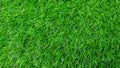 Close up image of green grass. Artificial turf Royalty Free Stock Photo