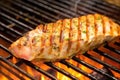 close-up image of a grilled mahi-mahi steak being checked for flakiness Royalty Free Stock Photo