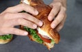 Close up image of a hand holding a sandwich. Royalty Free Stock Photo