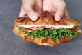 Close up image of a hand holding a sandwich. Royalty Free Stock Photo