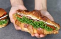 Close up image of a hand holding a sandwich. Royalty Free Stock Photo