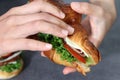 Close up image of a hand holding a sandwich. Royalty Free Stock Photo