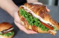 Close up image of a hand holding a sandwich. Royalty Free Stock Photo