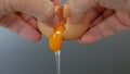 Close Up Image with Hands Breaking a Fresh Chicken Egg in the Kitchen Preparing the Morning Omelette for the Breakfast Royalty Free Stock Photo