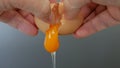 Close Up Image with Hands Breaking a Fresh Chicken Egg in the Kitchen Preparing the Morning Omelette for the Breakfast Royalty Free Stock Photo