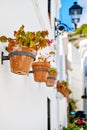 Close up image hanging flower pots in row on residential houses wall in pueblo blanco, charming small village of Mijas Royalty Free Stock Photo
