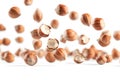 Close up image of hazelnuts falling and rotating isolated on white background Royalty Free Stock Photo
