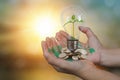 Close up image of human hand have world map in holding a green sprout growing of tree planting in light bulb on blurred nature Royalty Free Stock Photo