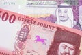 A close up image of Hungarian money with Saudi Arabian money