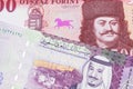 A close up image of Hungarian money with Saudi Arabian money