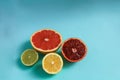 Close up image of juicy organic whole and halved assorted citrus fruits with visible core texture, isolated white background, copy Royalty Free Stock Photo