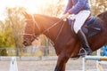 Close up image of jumping horse over hurdle Royalty Free Stock Photo